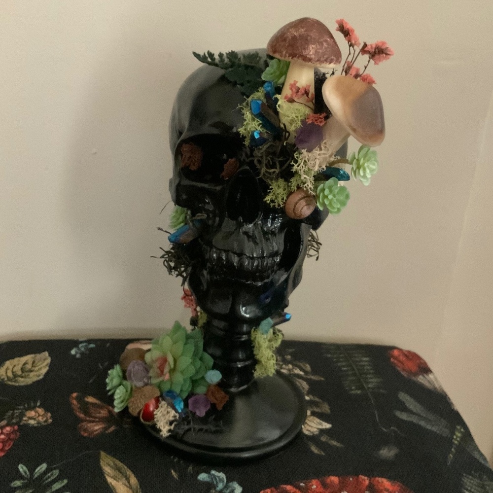Skull nature display